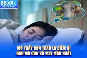 Mơ thấy con trâu
